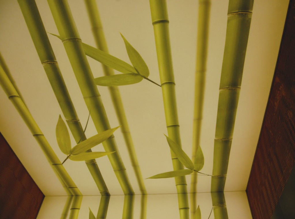 Priešpirčio patalpoje architektės sumanymu buvo pasirinkta bambukų tema