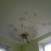 Clipso audinio lubos su foto spauda